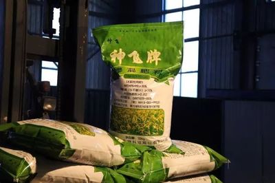 我縣神飛生物科技股份簽訂超千萬元大單，引領復合微生物肥料研發新篇章