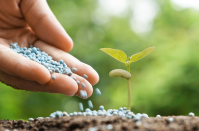 科技賦能綠色農(nóng)業(yè) 山東中新農(nóng)業(yè)發(fā)展的生物有機肥料研發(fā)探索